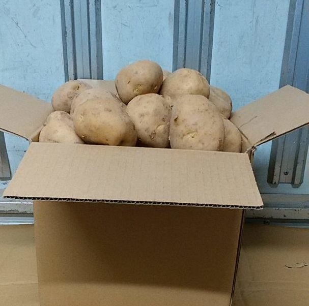 potato(5kg)